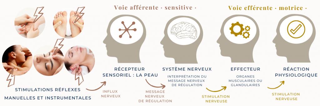 Tarifs & Informations pratiques - La bulle du Lavandin